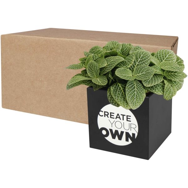 Maceta de aluminio con planta, suculenta,  para personalizar con logo - Imagen 2