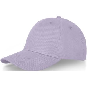 Gorra de 6 paneles de 260 g/m² Davis