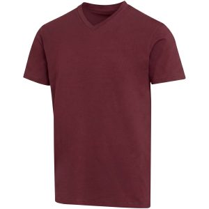 Camiseta orgánica unisex con certificado OCS de manga corta y cuello de pico de 200 g/m² Balfour